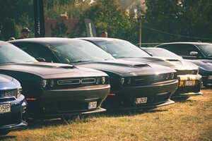 Galeria SpeedShow 2024 - 19